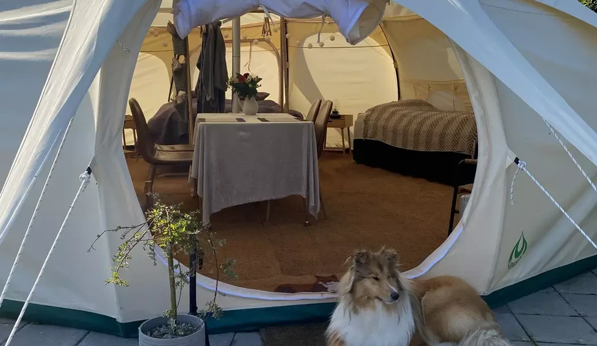Glampingsted 6 